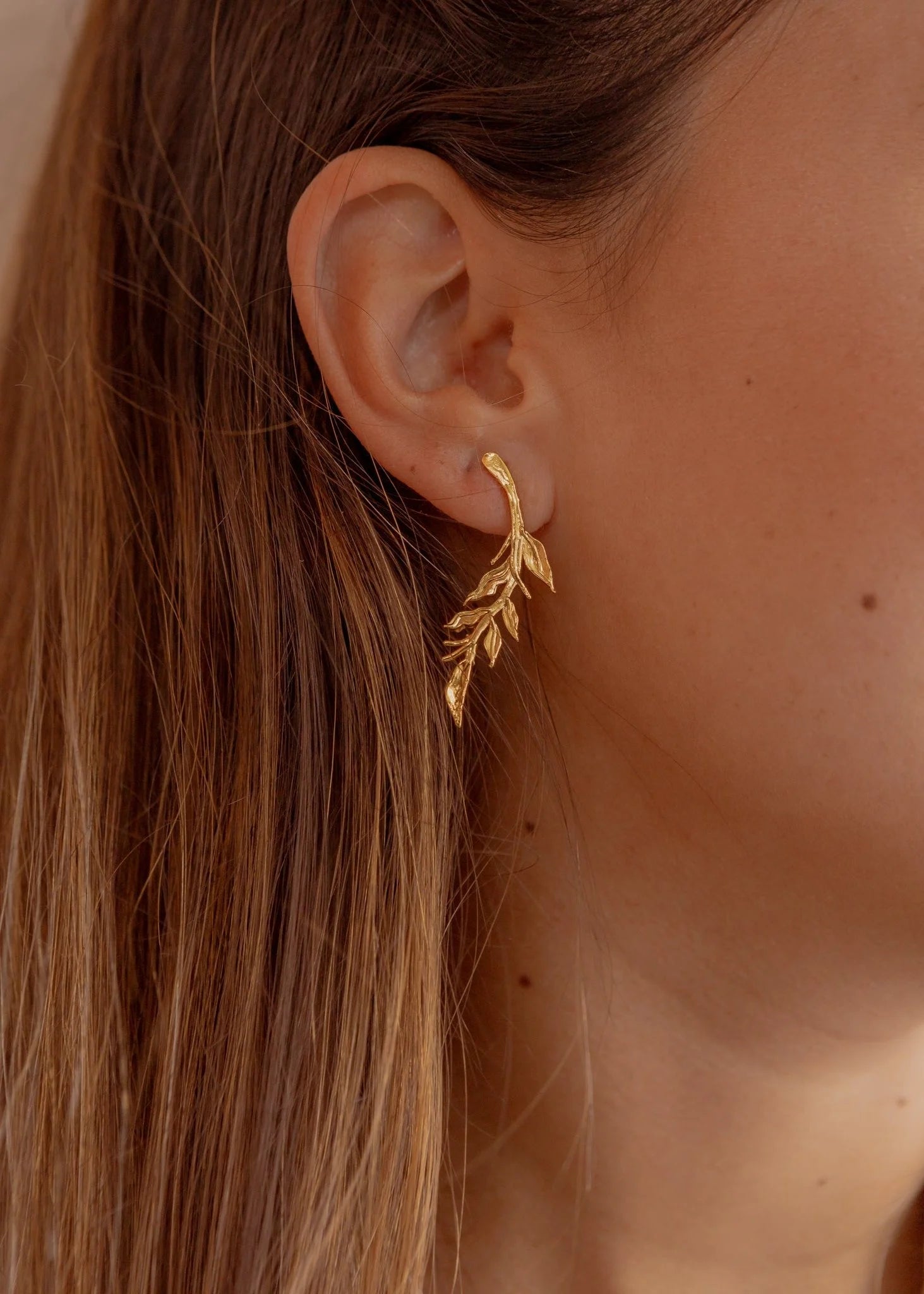 Aretes Naturaleza